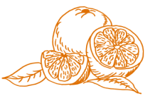 Naranja ponche